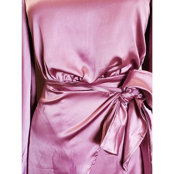 Petal and Pup Dusty Rose Opal Dress, Faux Wrap, Round Neck Short Dress, Sz. 2, N - Picture 3 of 13